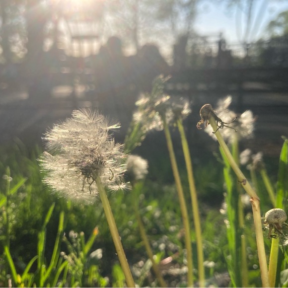 Bookmark my closet 💚 - Picture 1 of 8